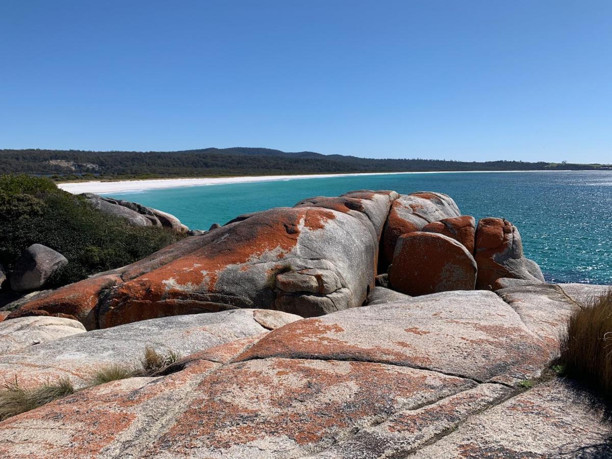 Bay Of Fires Great Escape Vila Binalong Bay Exterior foto