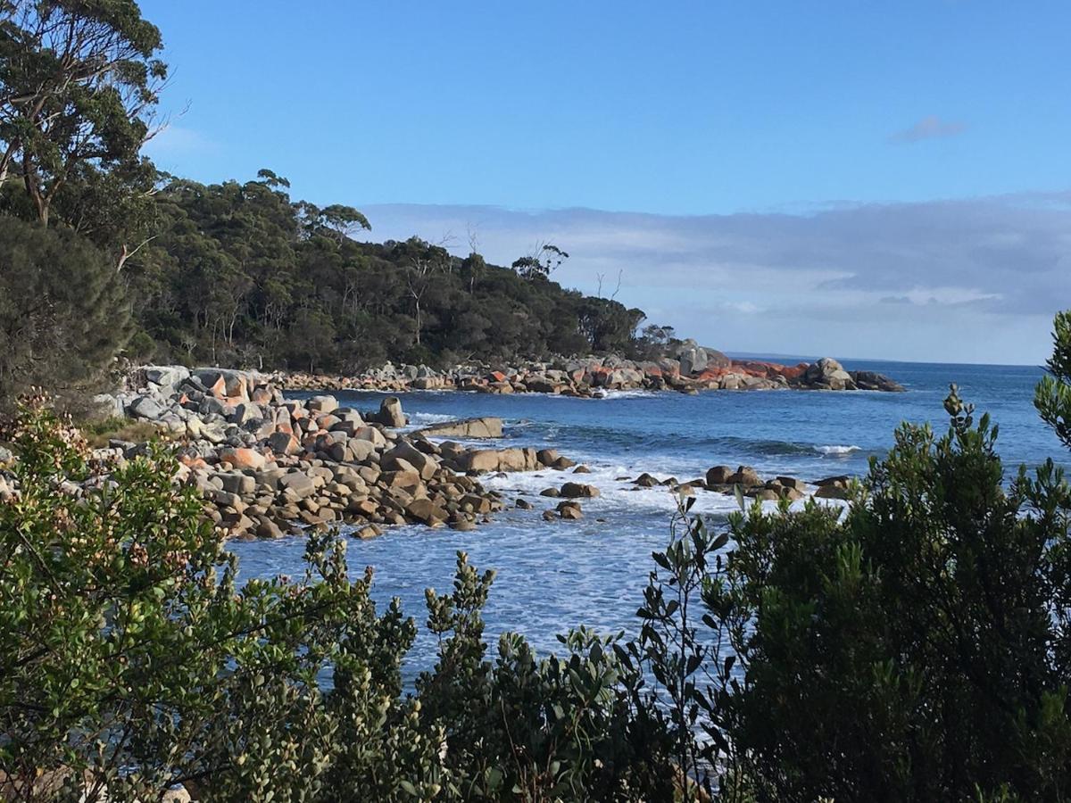 Bay Of Fires Great Escape Vila Binalong Bay Exterior foto